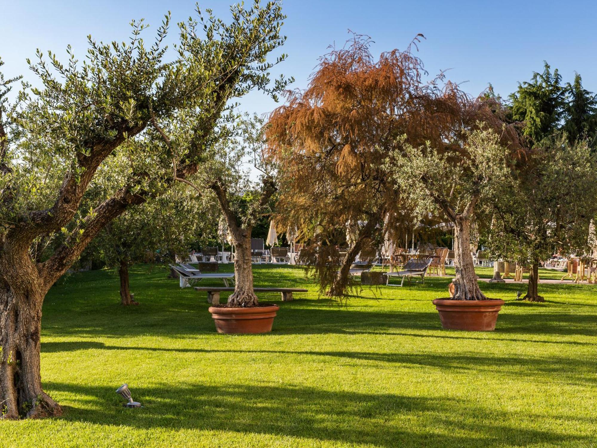 Hotel Ca' Mura Bardolino Zewnętrze zdjęcie